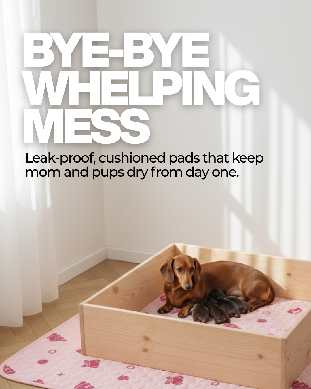 Potty Buddy Facebook ad