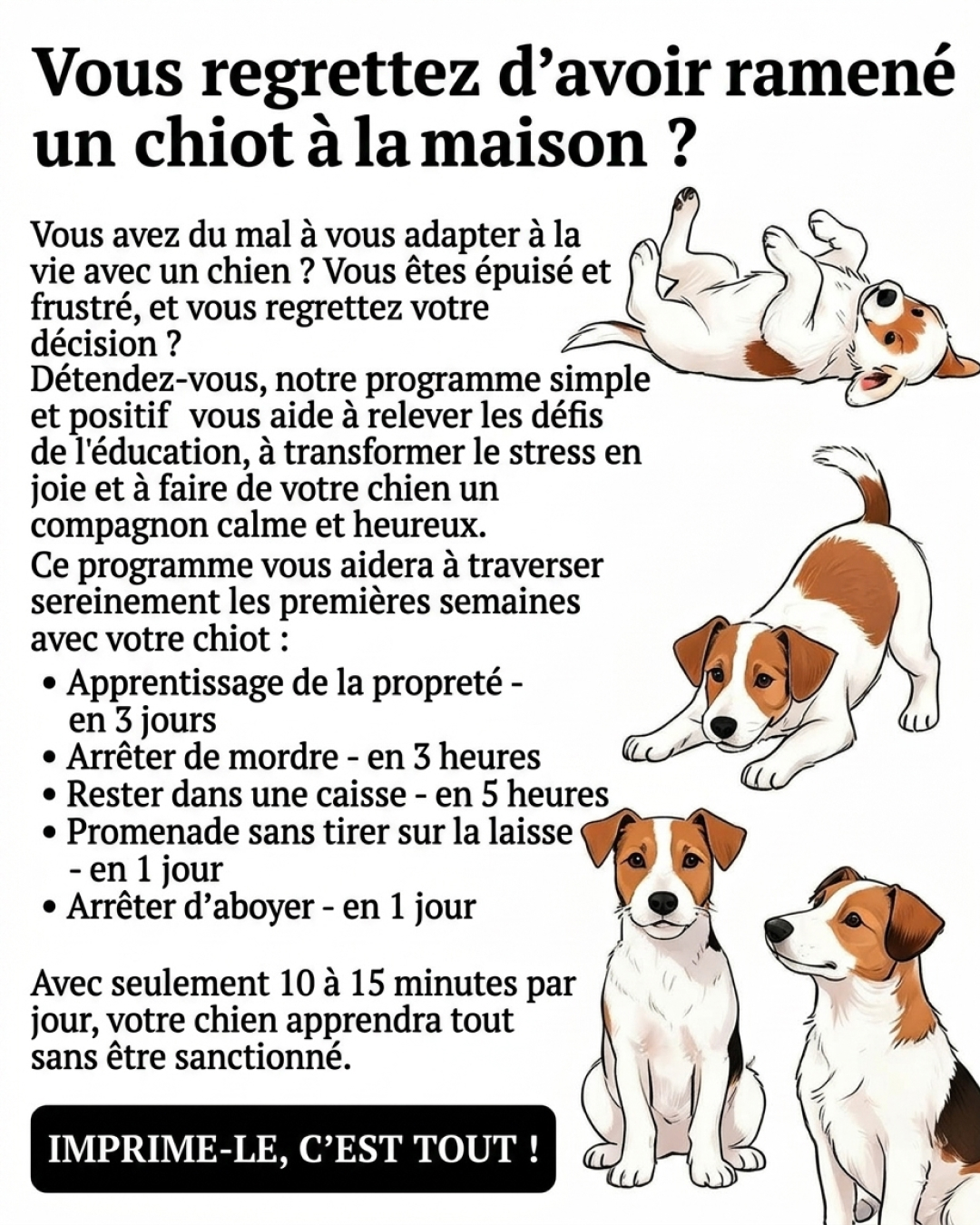 Jake Collins Facebook ad: Dressez votre chiot avec l'application n°1