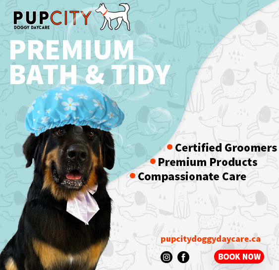 Pup City Doggy Daycare Facebook ad