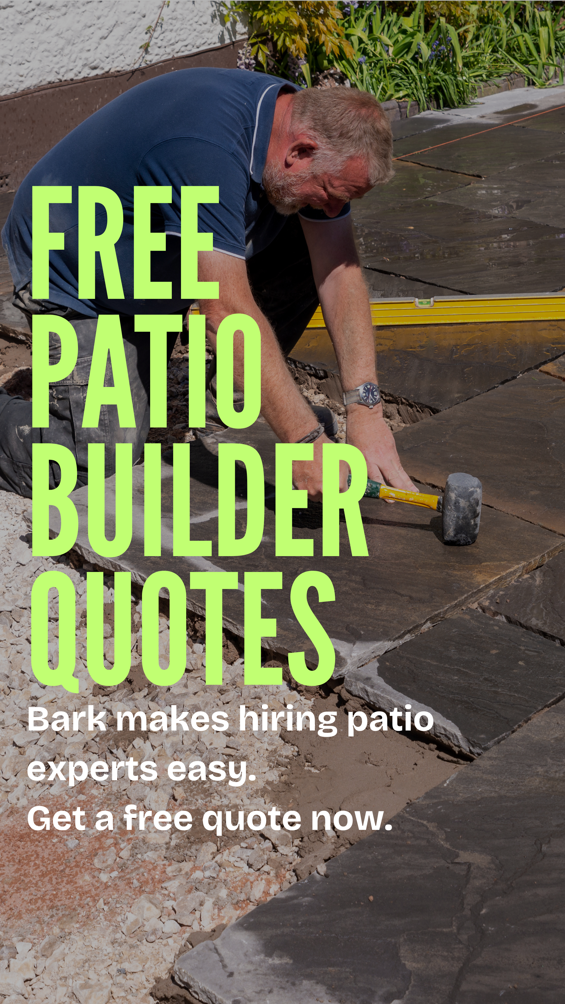 Bark.com Facebook ad
