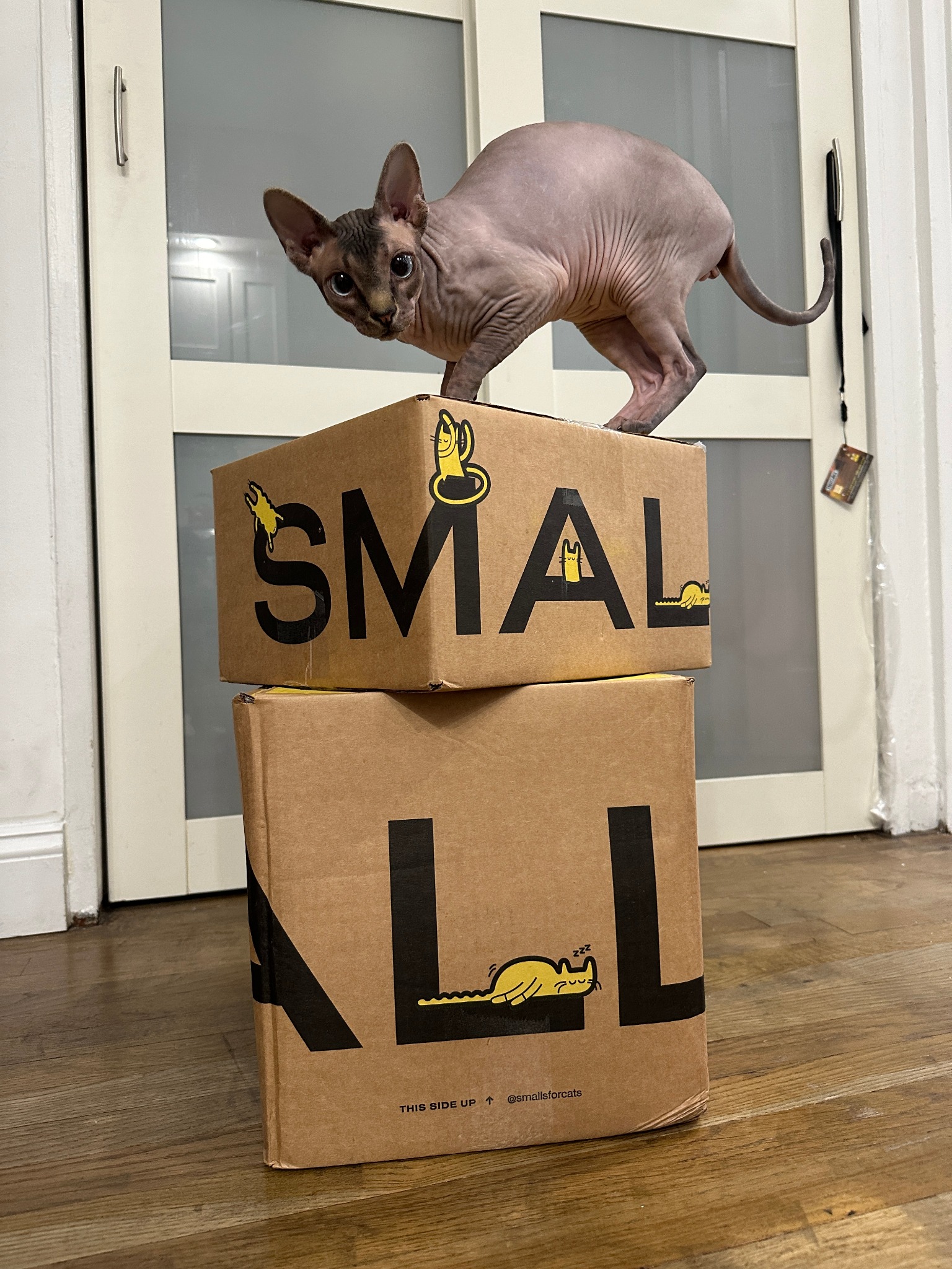 Smalls Facebook ad