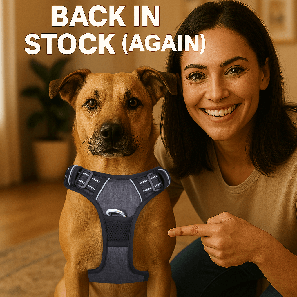 PawSafe Facebook ad