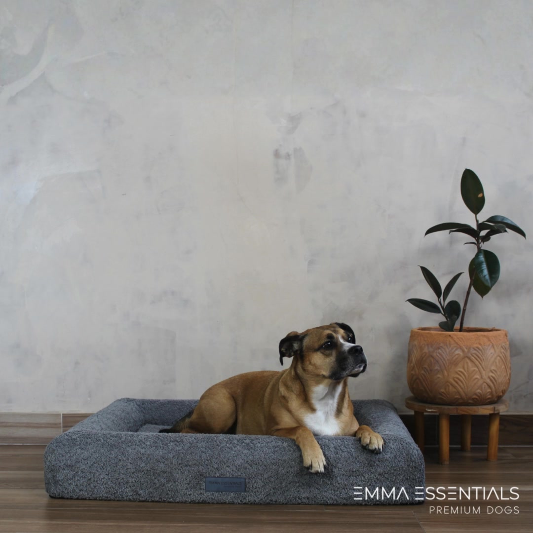 Donna's Pet Boutique Facebook ad: Camas Ortopédicas para Perros