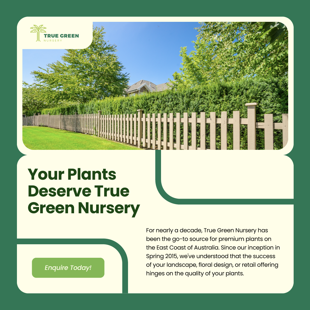 True Green Nursery Facebook ad