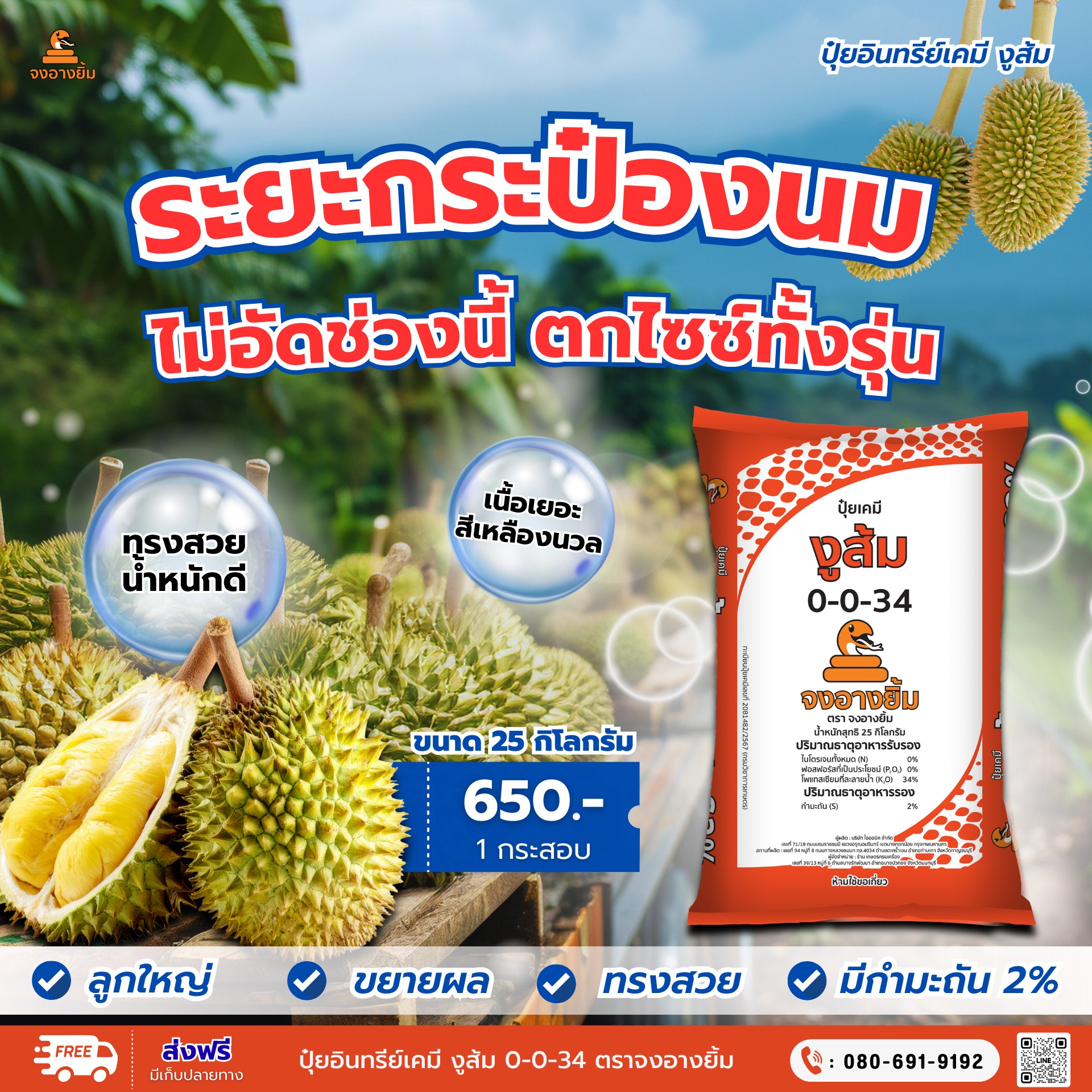 ขาย กรดอะมิโนไฟโต ซอยดี-Soil D ตรา จงอางยิ้ม: ดินดี เขียวทน เขียวไว Facebook ad: ใส่ตอนนี้คือกำไร ปล่อยไว้คือความเสี่ยง