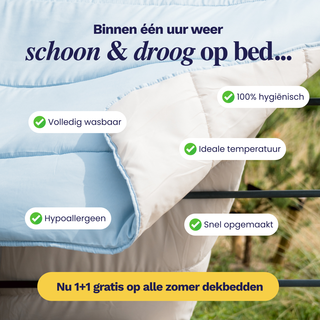Zelesta.nl Facebook ad