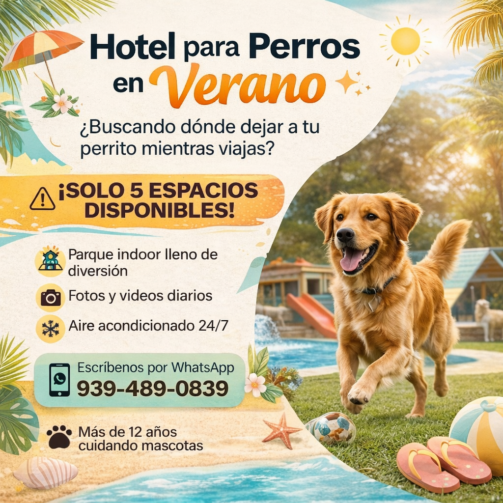 The Pet Pawradise Facebook ad