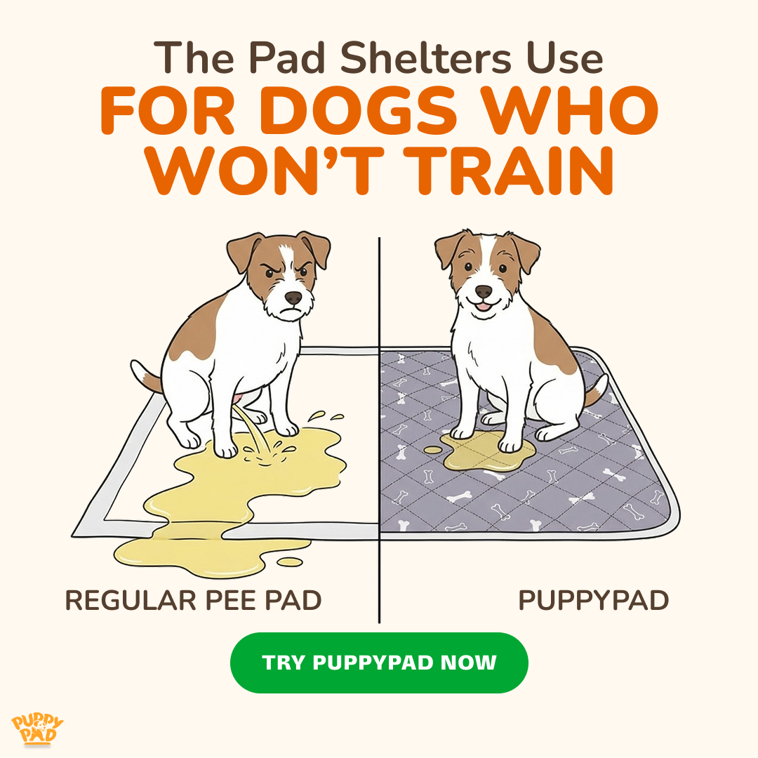 PuppyPad Facebook ad