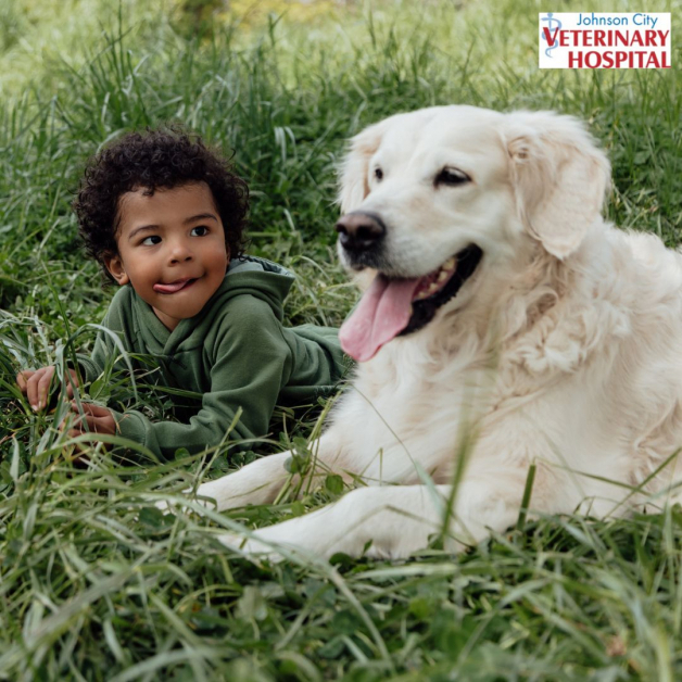 Johnson City Veterinary Hospital Facebook ad