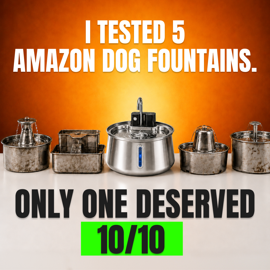 Best Dog Products 2026 Facebook ad