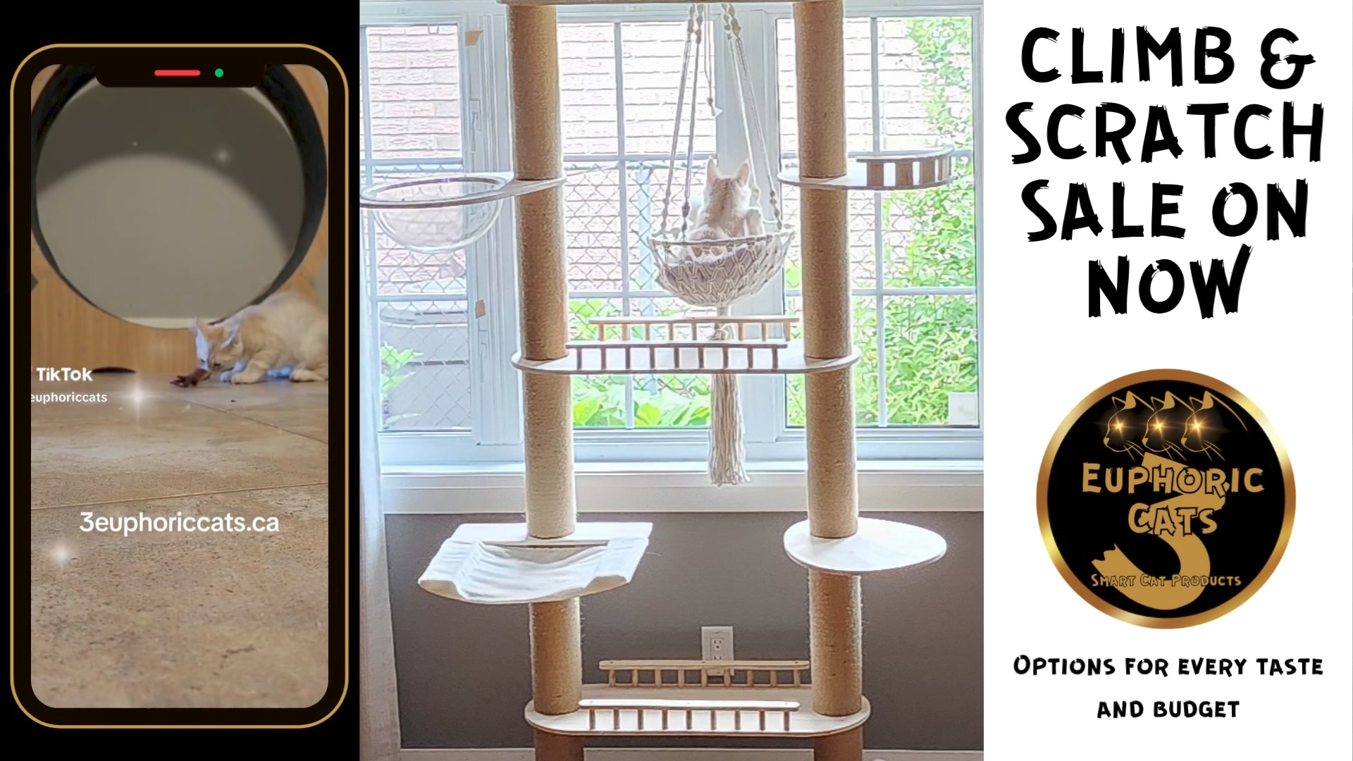 3 Euphoric Cats Smart Cat Products Inc. Facebook ad: Transform your cat's play and relaxation with our…