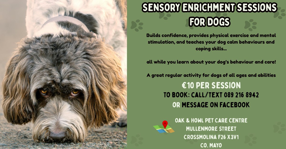 Oak & Howl Dog Behaviour and Training Facebook ad: Sensory Enrichment Sessions for Dogs