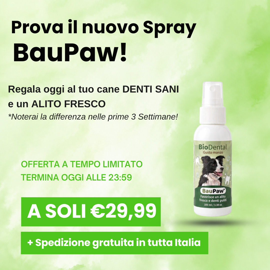Baupaw Facebook ad