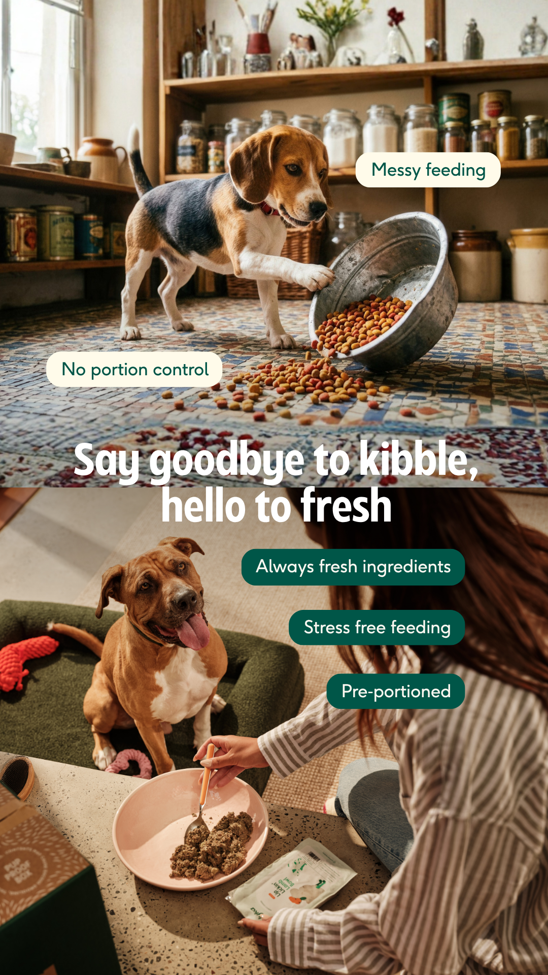 Lyka Pet Food Facebook ad