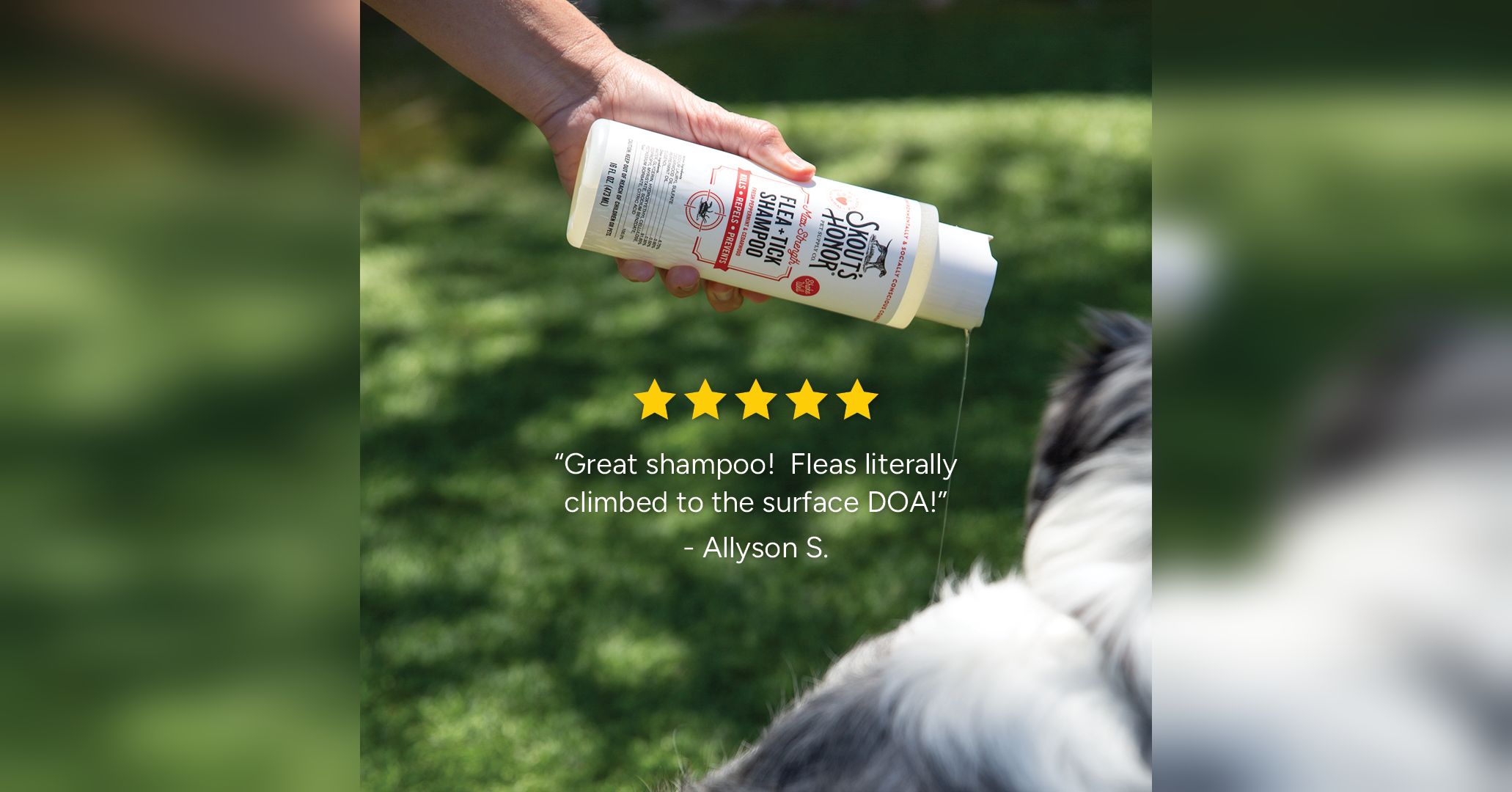 Skout's Honor Facebook ad