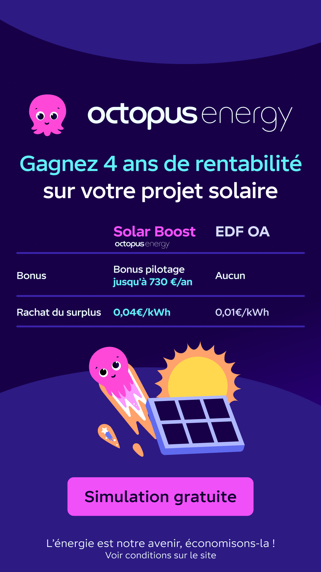 Octopus Energy Facebook ad