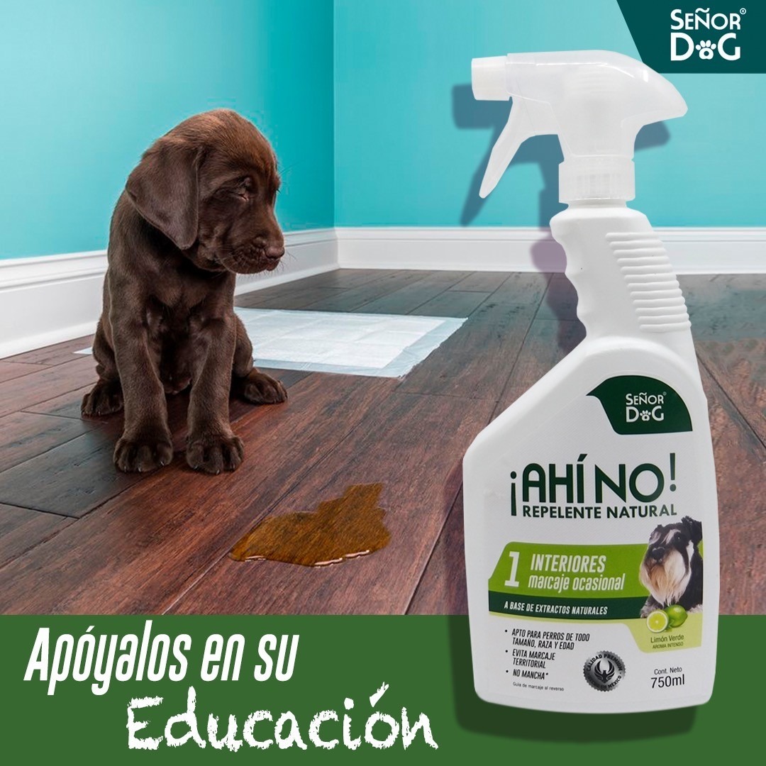 Señor Dog & Señor Cat Facebook ad: Productos Naturales para evitar Marcaje, Estrés y Conductas…