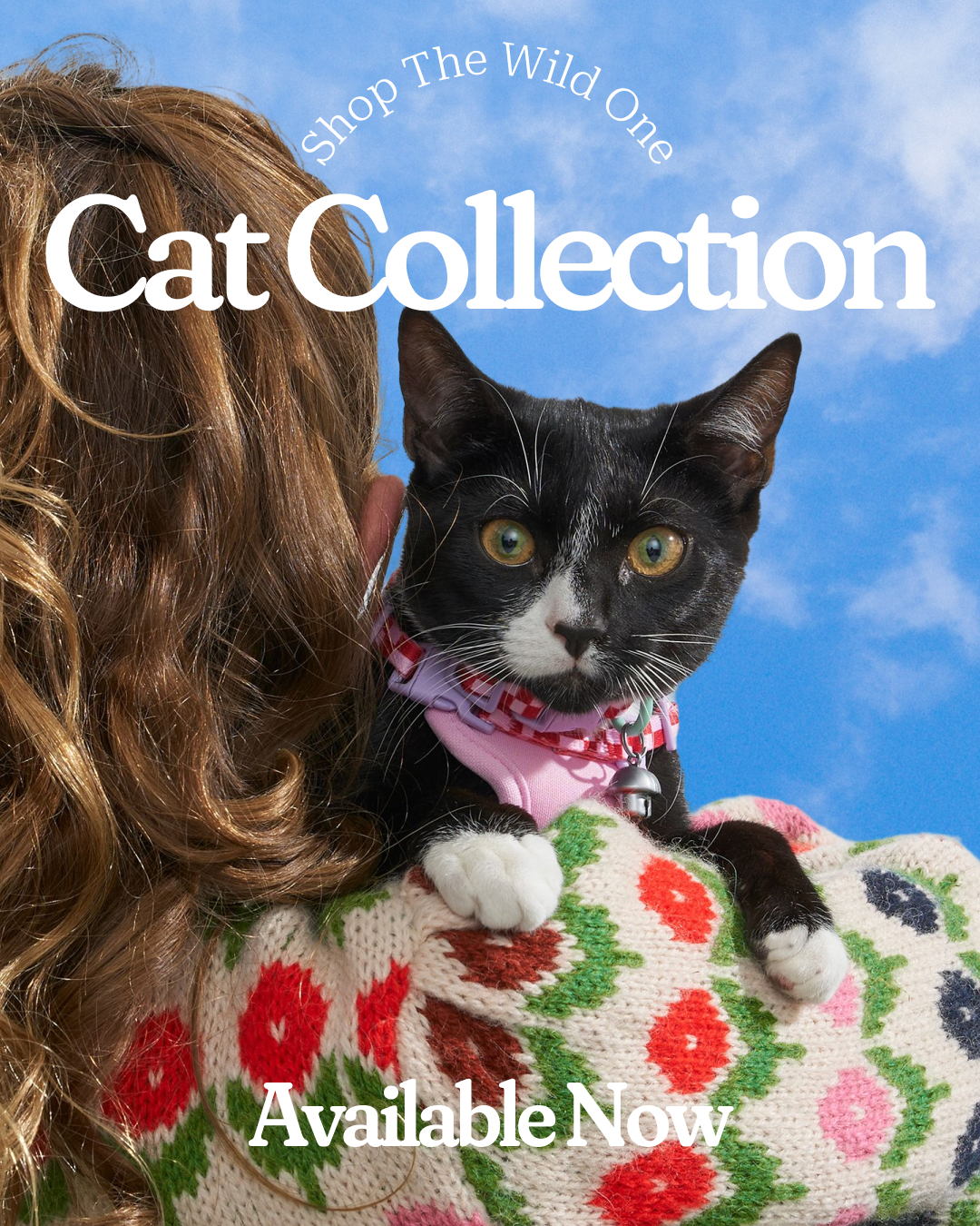 Wild One Facebook ad: The cat's out of the bag… and it's never looked better.