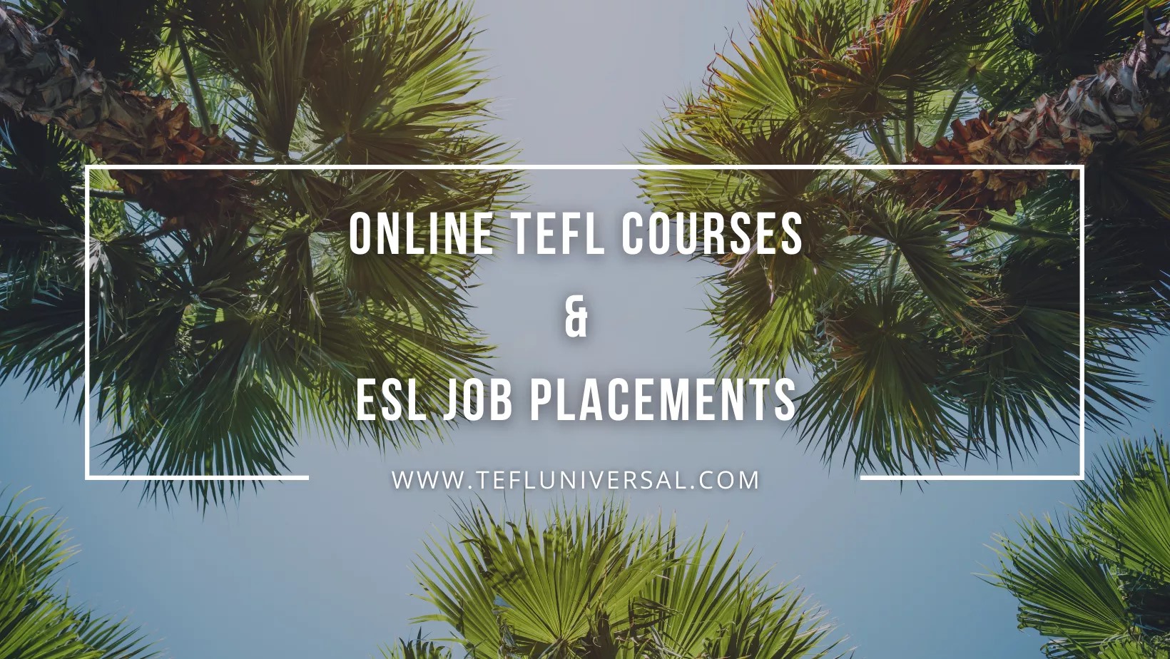 TEFL Universal Facebook ad