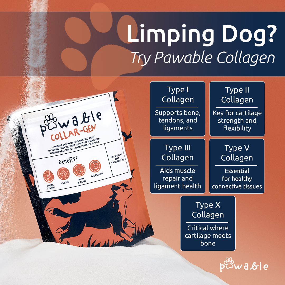 Pawable Facebook ad