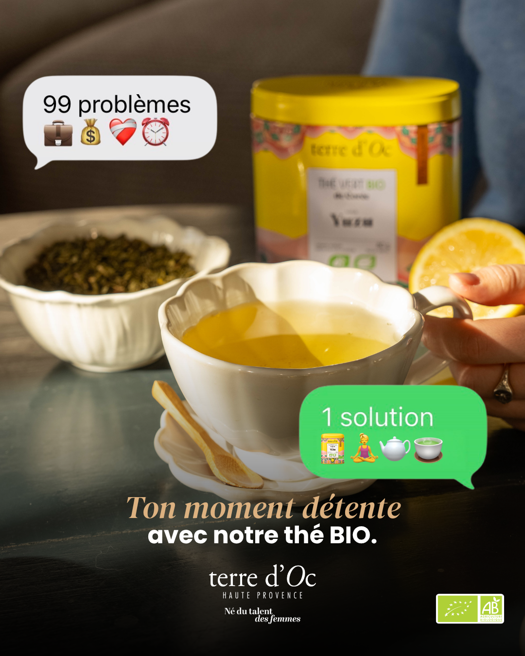 terre d'Oc Facebook ad