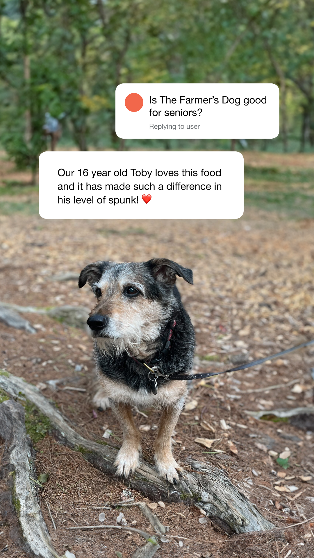 The Farmer's Dog Facebook ad