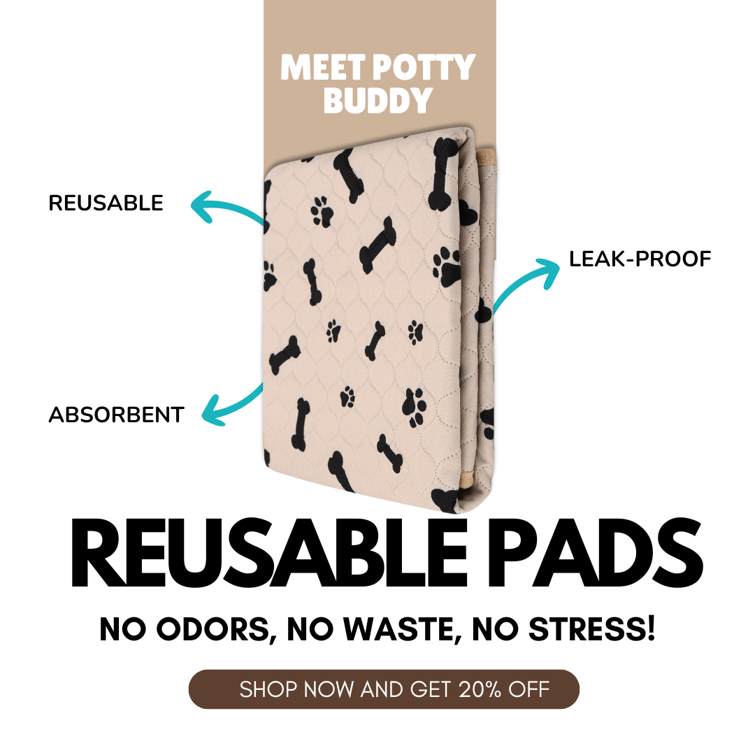 Potty Buddy Facebook ad