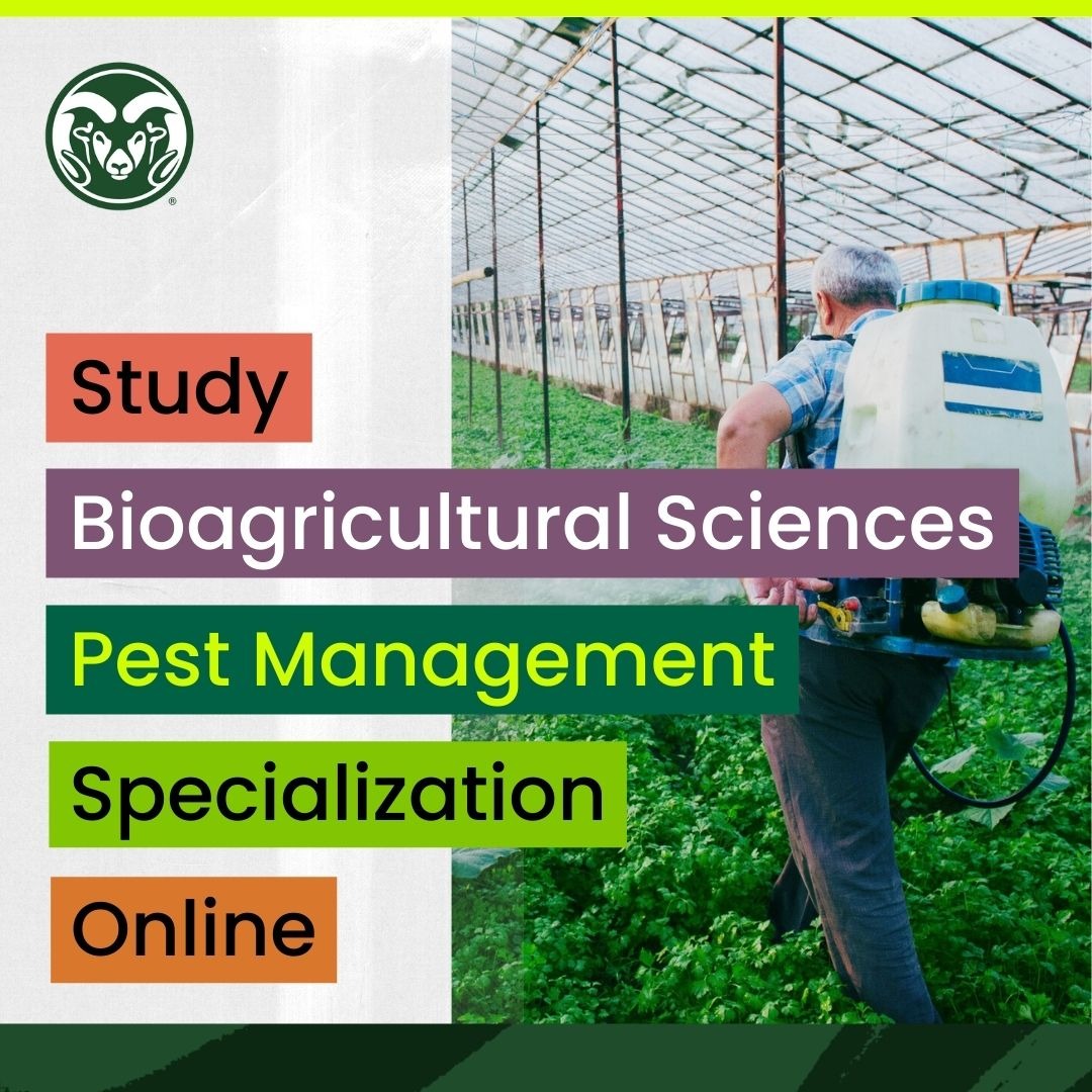 Colorado State University Online Facebook ad