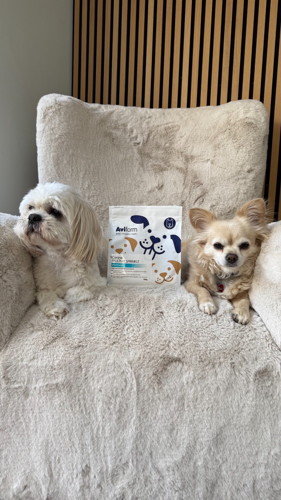 Aviform Nutrition UK - Horse & Dog Facebook ad