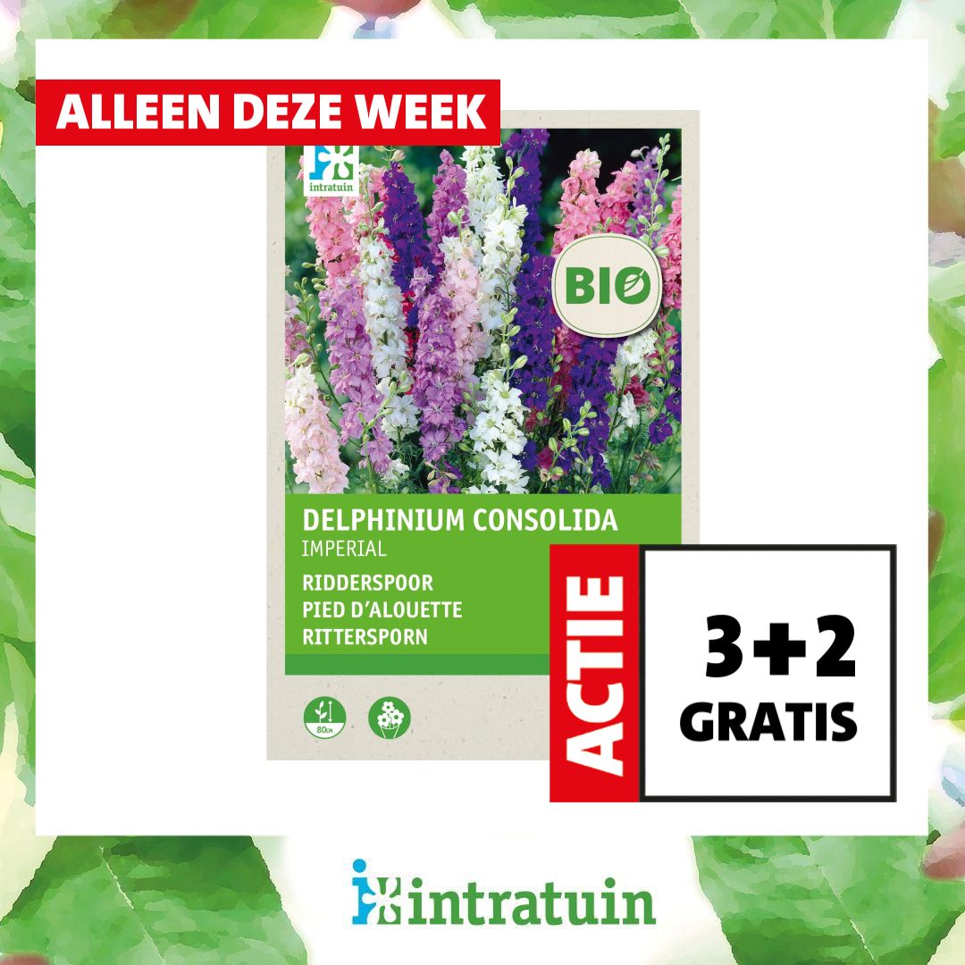 Intratuin Facebook ad