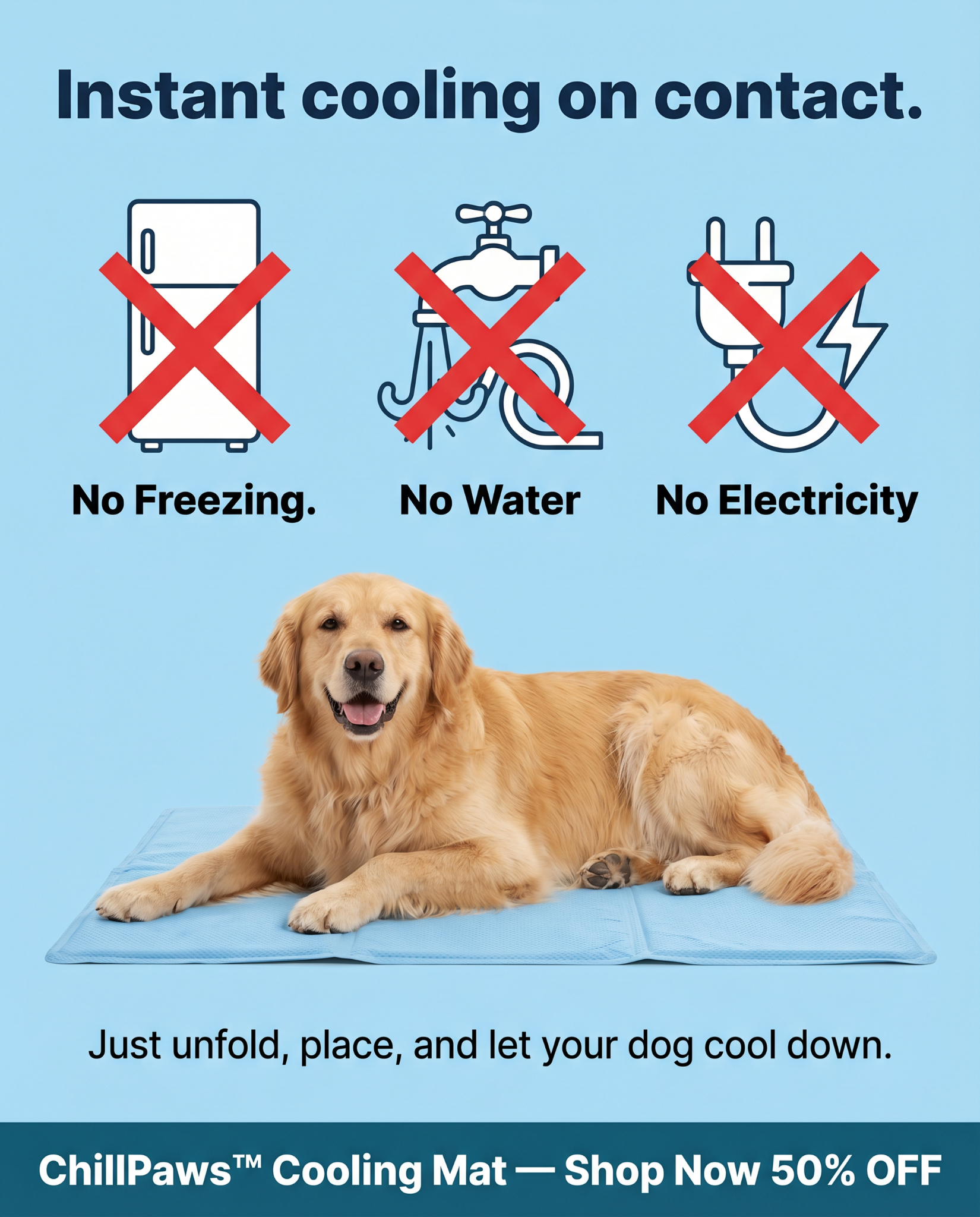 Rhykin Pet Co Facebook ad
