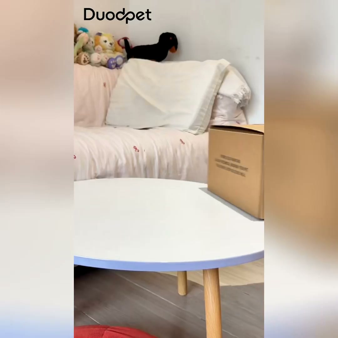 Shenzhen Duodpet Intelligent Technology Co., Ltd. Facebook ad: Looking for reliable smart pet care products for…