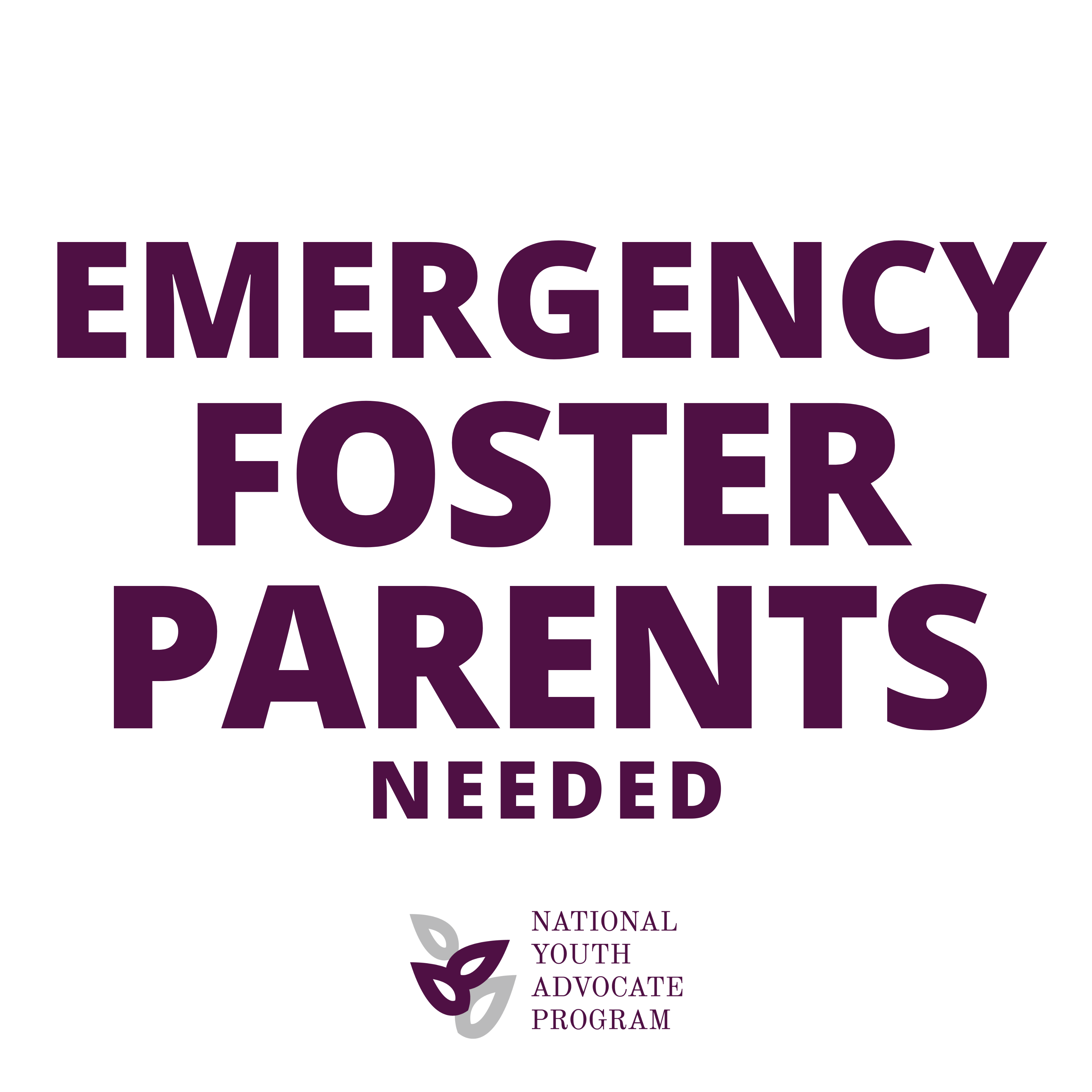 National Youth Advocate Program, Inc. Facebook ad: Foster in West Virginia