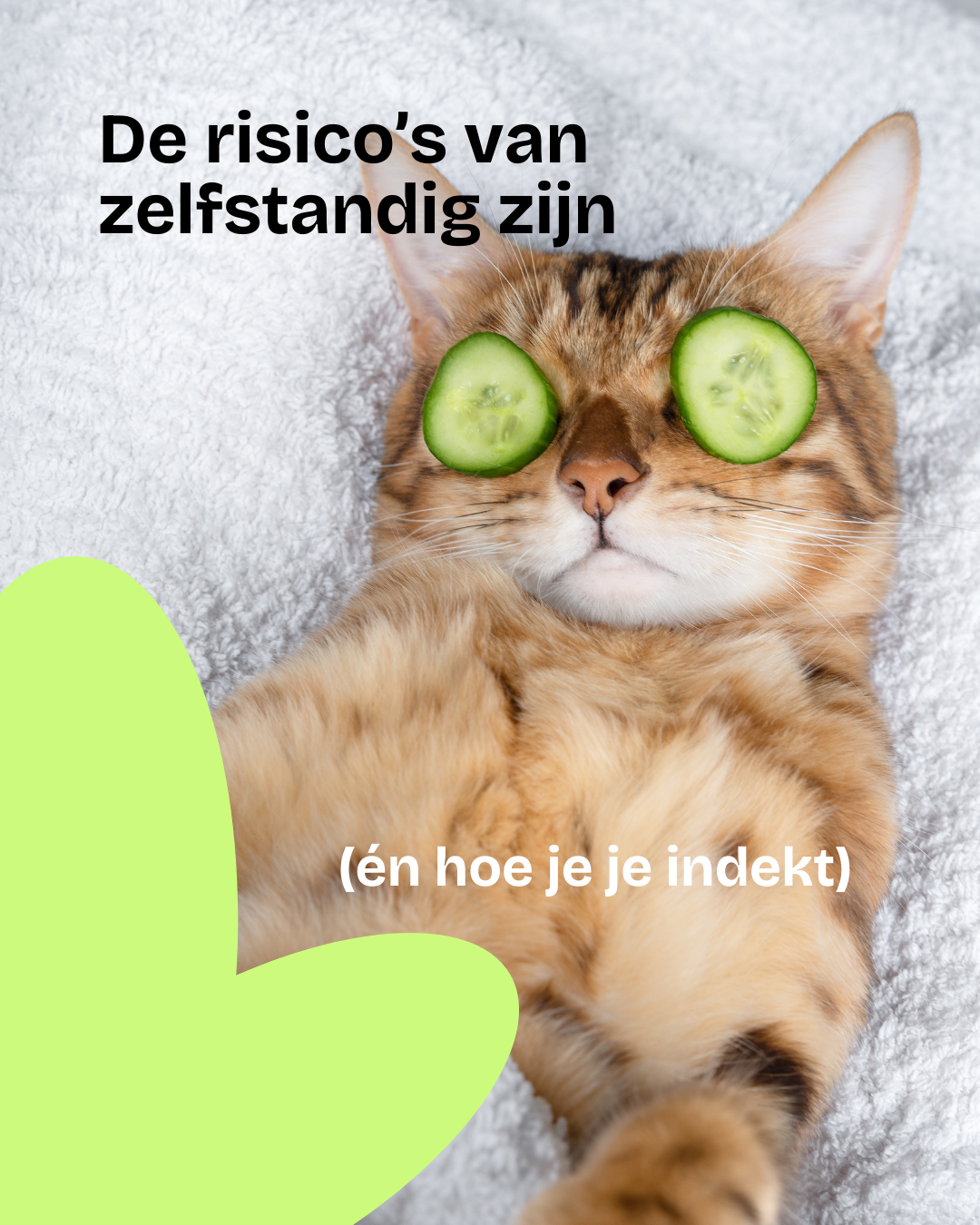 Die van de boekhouding Facebook ad