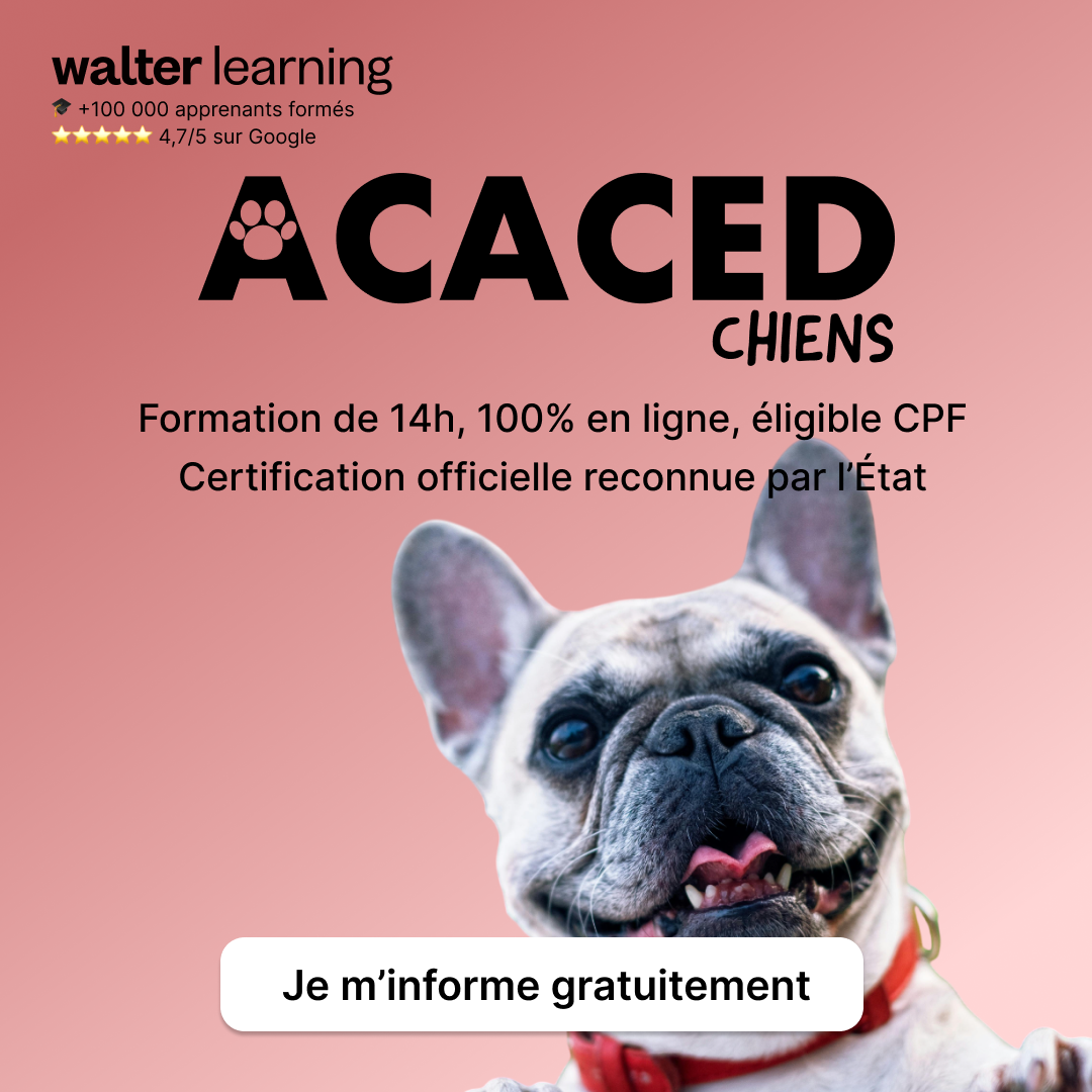 Walter Learning Facebook ad