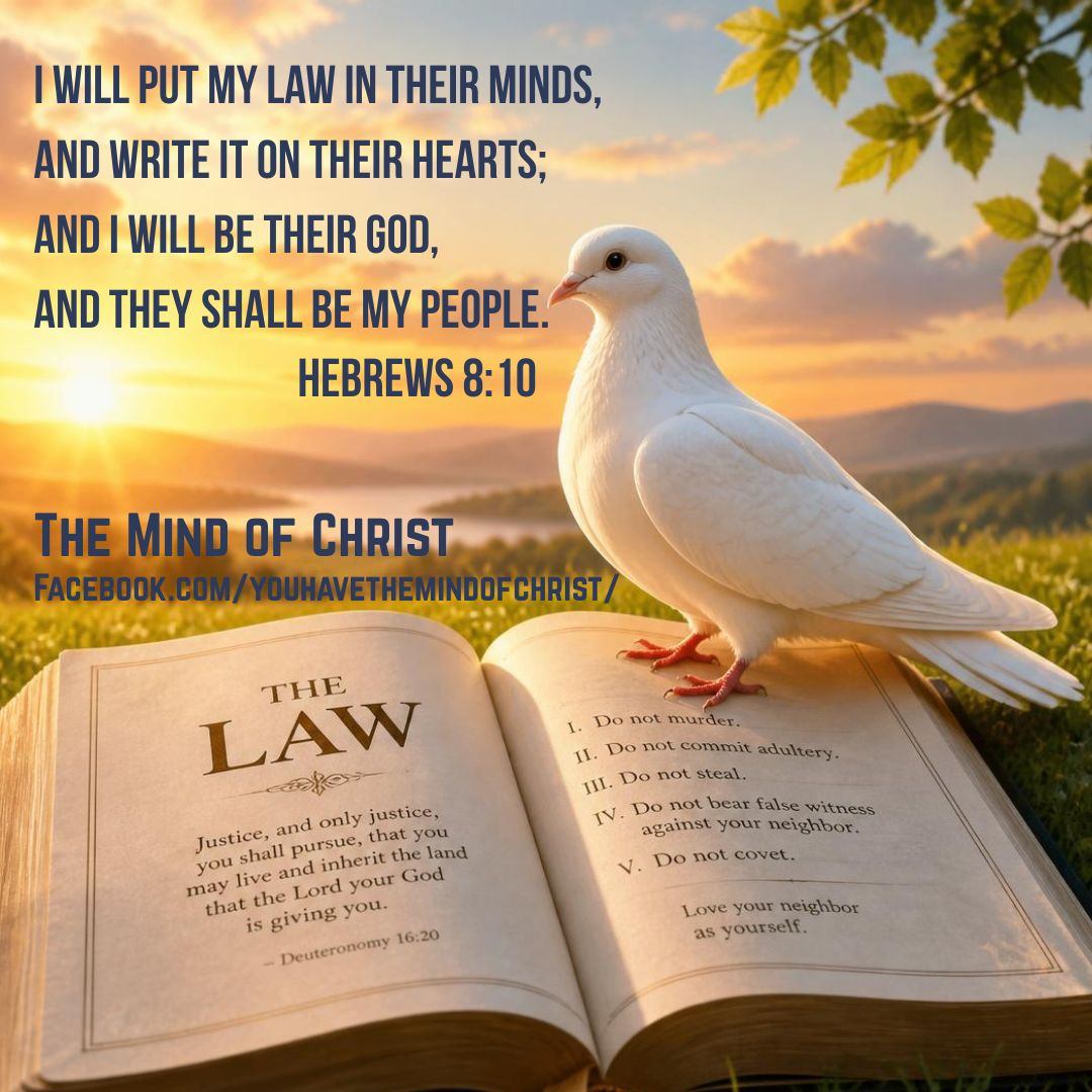 The Mind of Christ Facebook ad