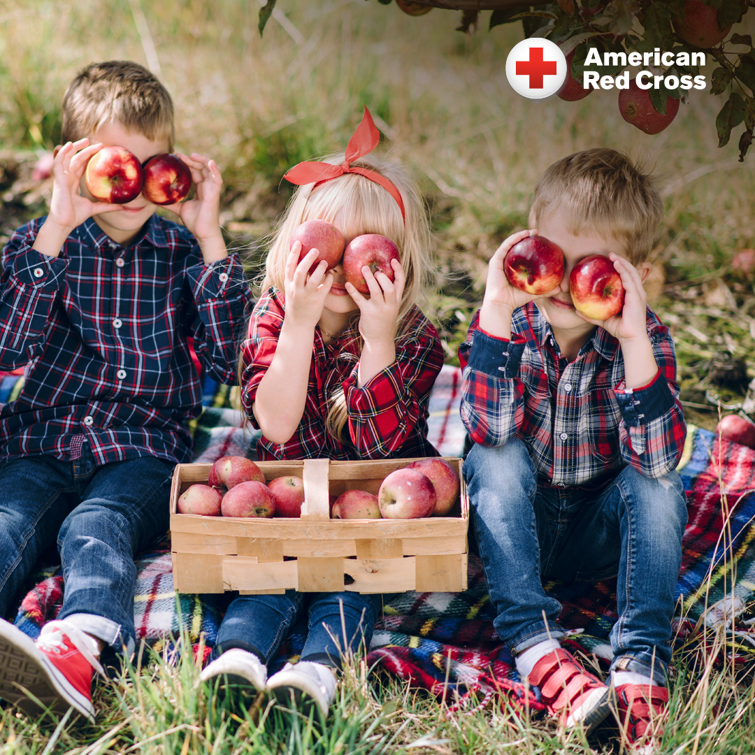 American Red Cross Training Services Facebook ad