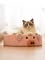 Pet beds