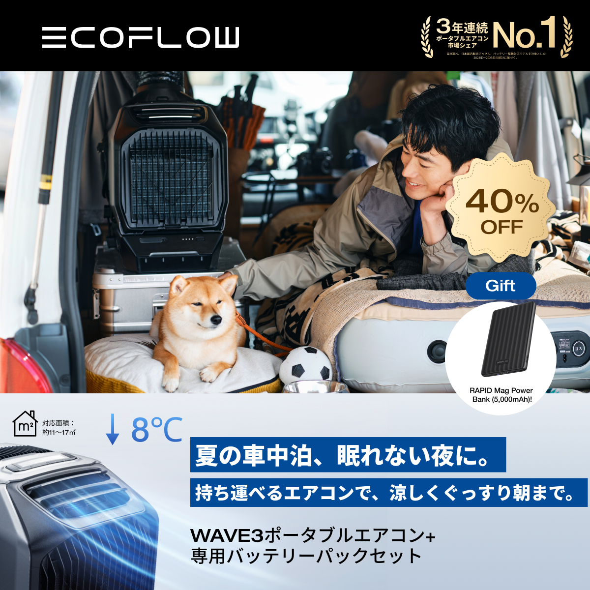 EcoFlow Facebook ad