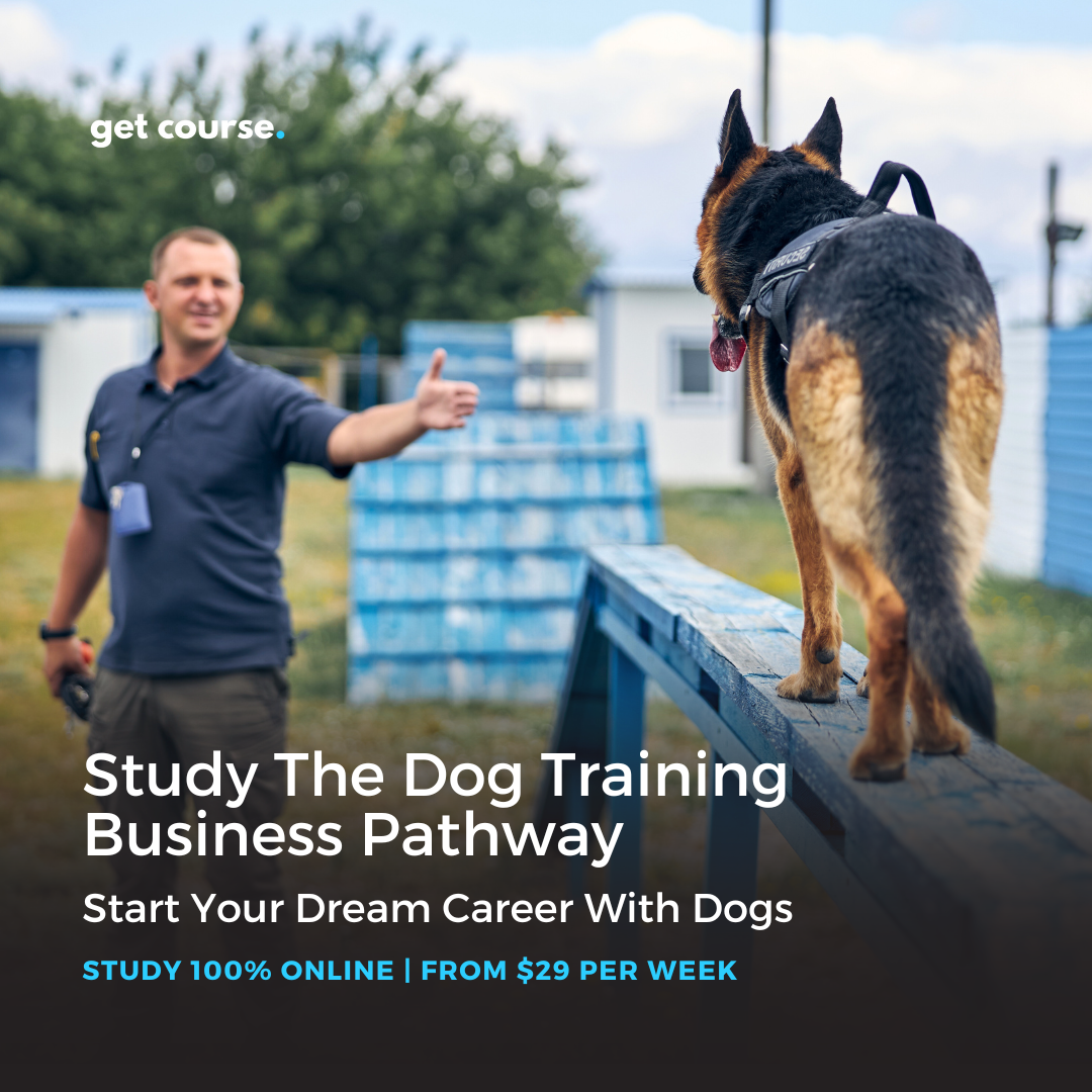 Get Course Co Facebook ad