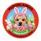 Pupuslándia Pets Accessories and More
