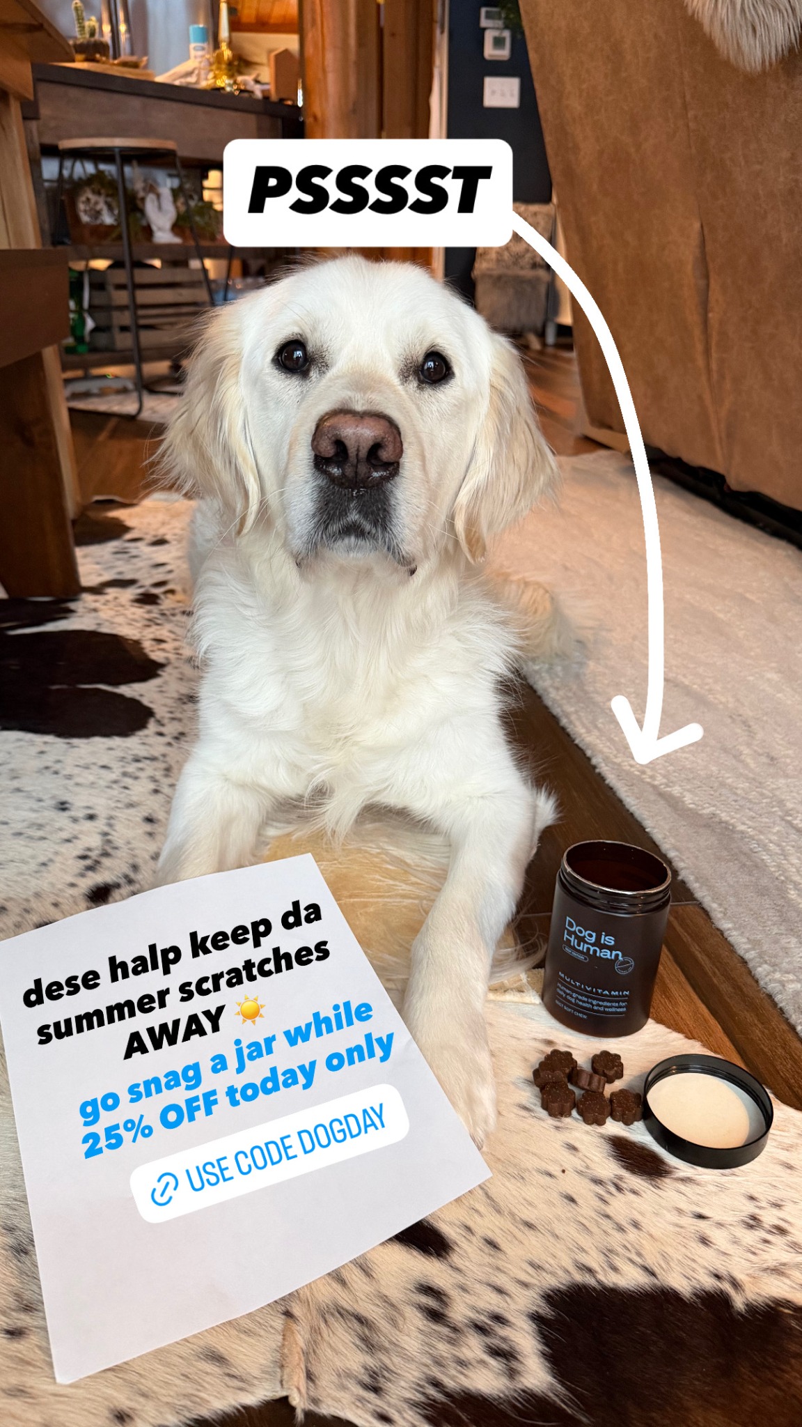 Dog is Human Facebook ad