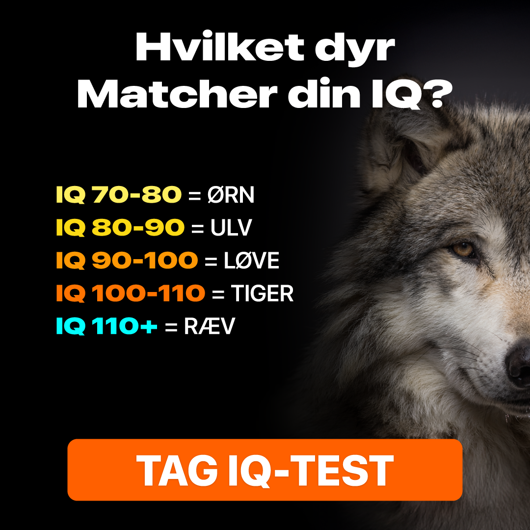 My IQ Facebook ad