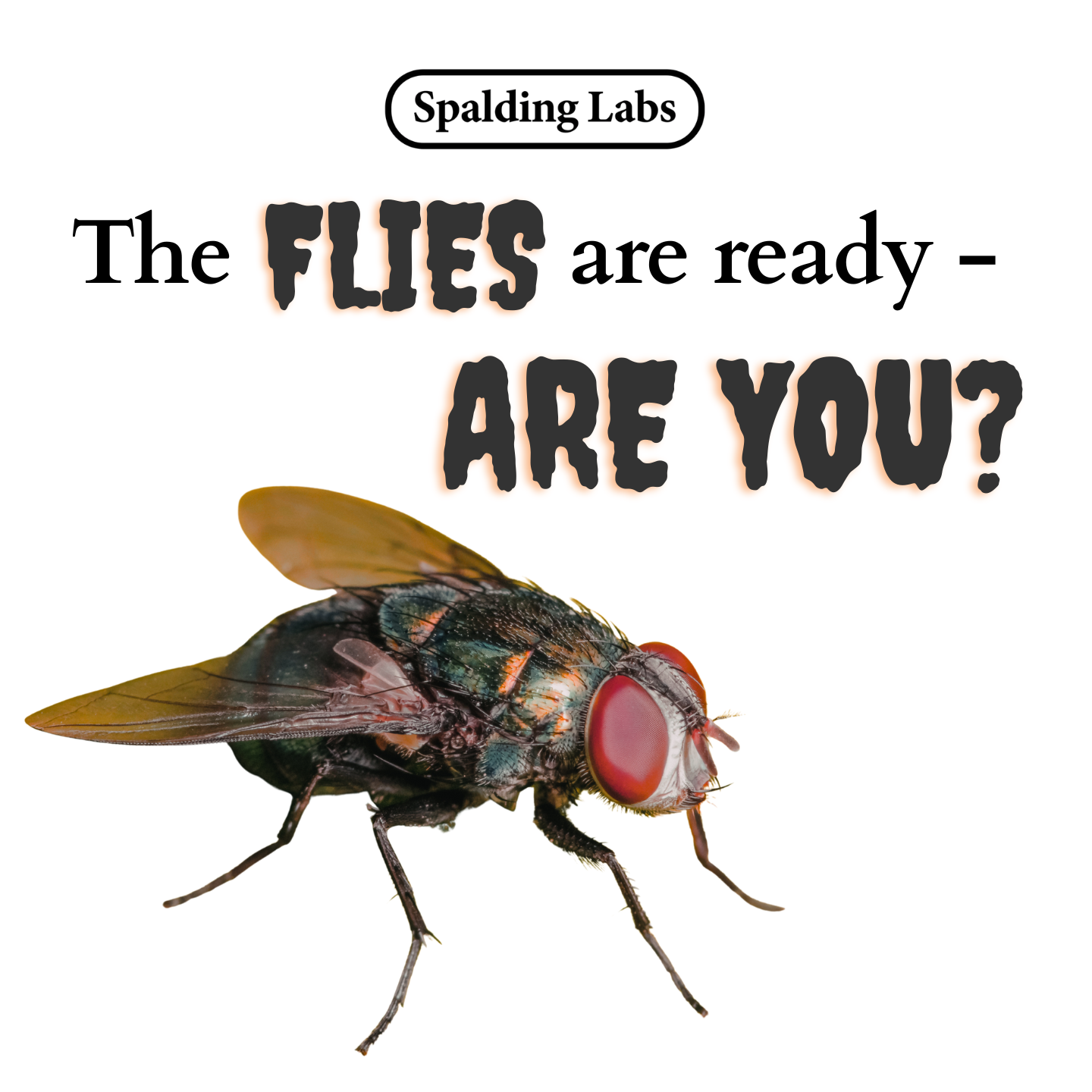 Spalding Labs Facebook ad
