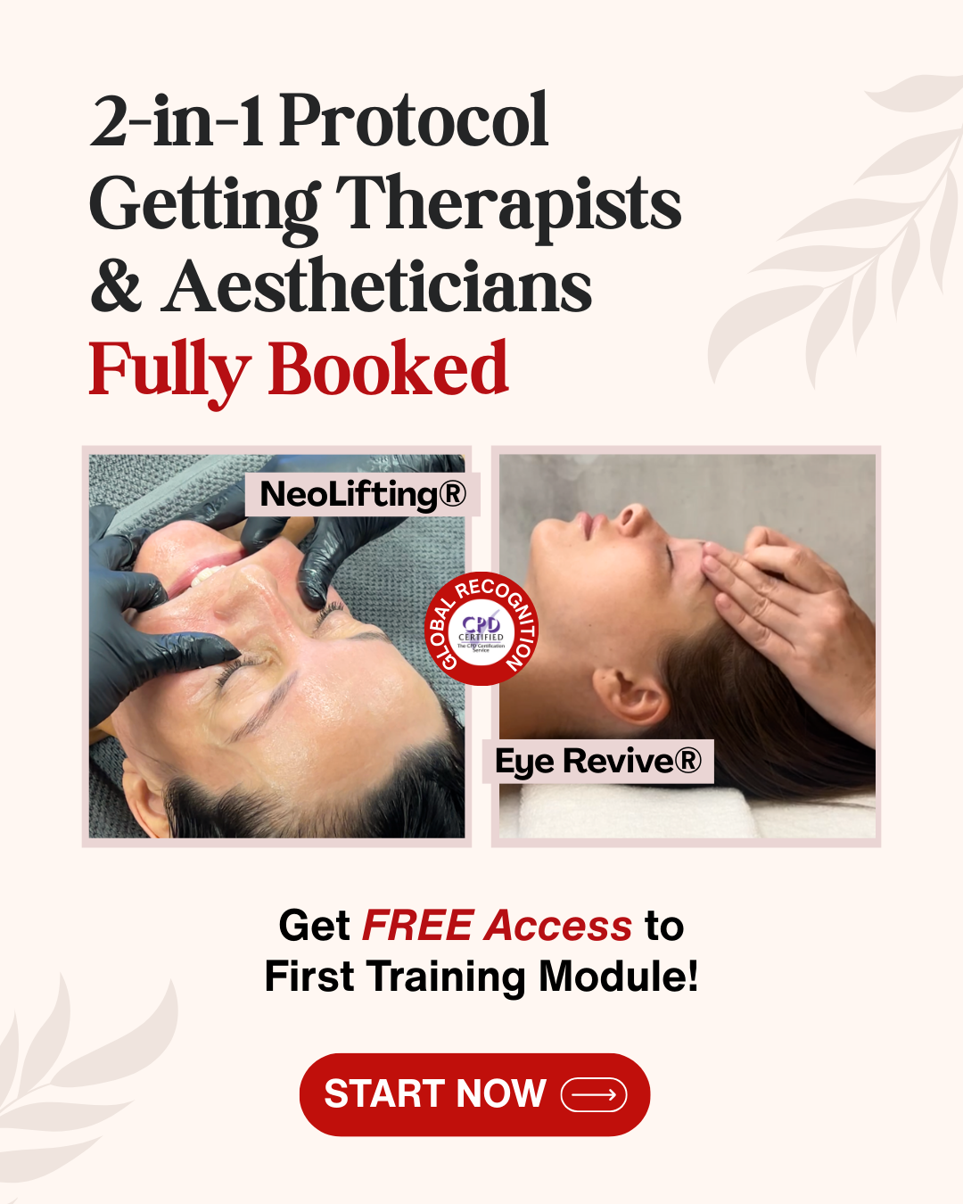 Pro-Age Aesthetics Academy Facebook ad: Free NeoLifting Training Module - Get Instant Access