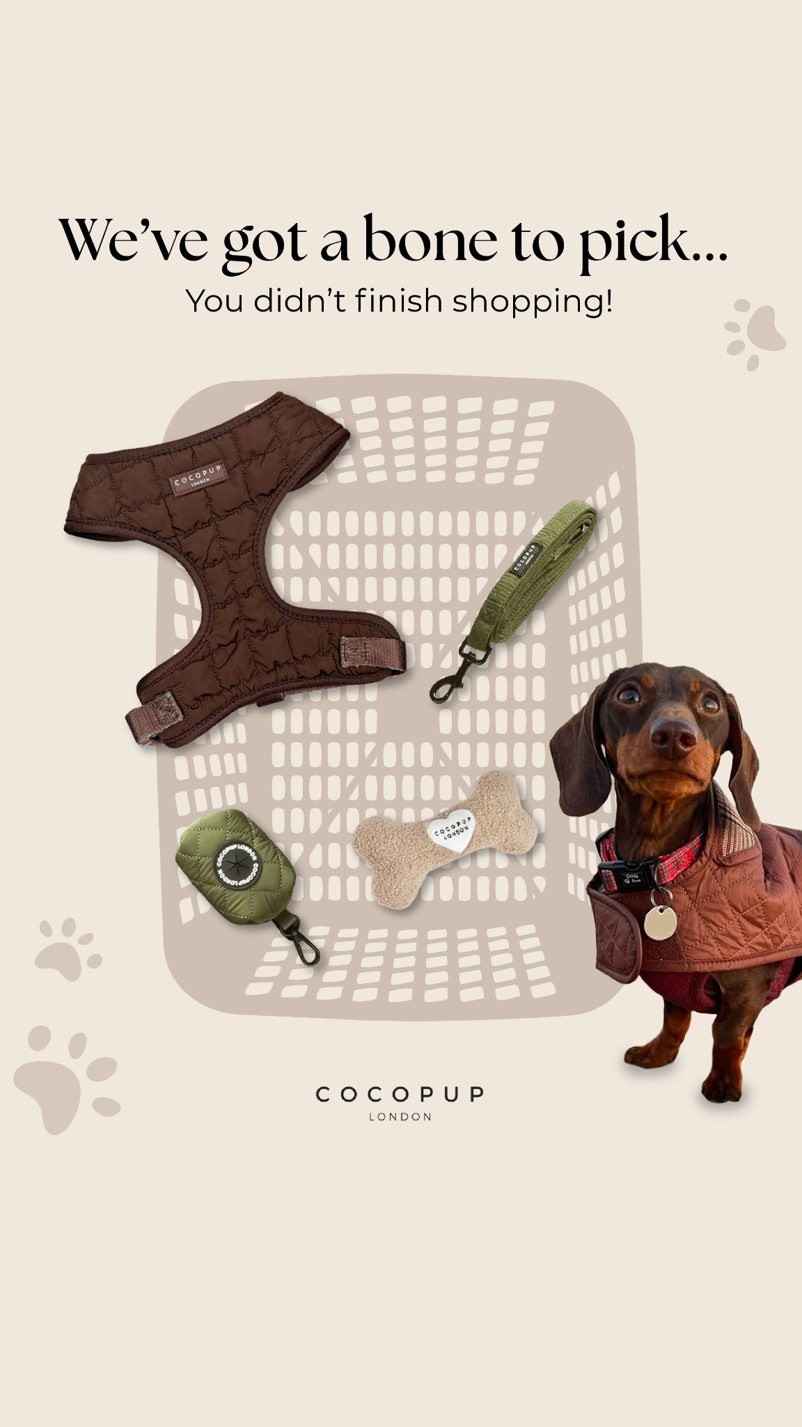 Cocopupuk Facebook ad