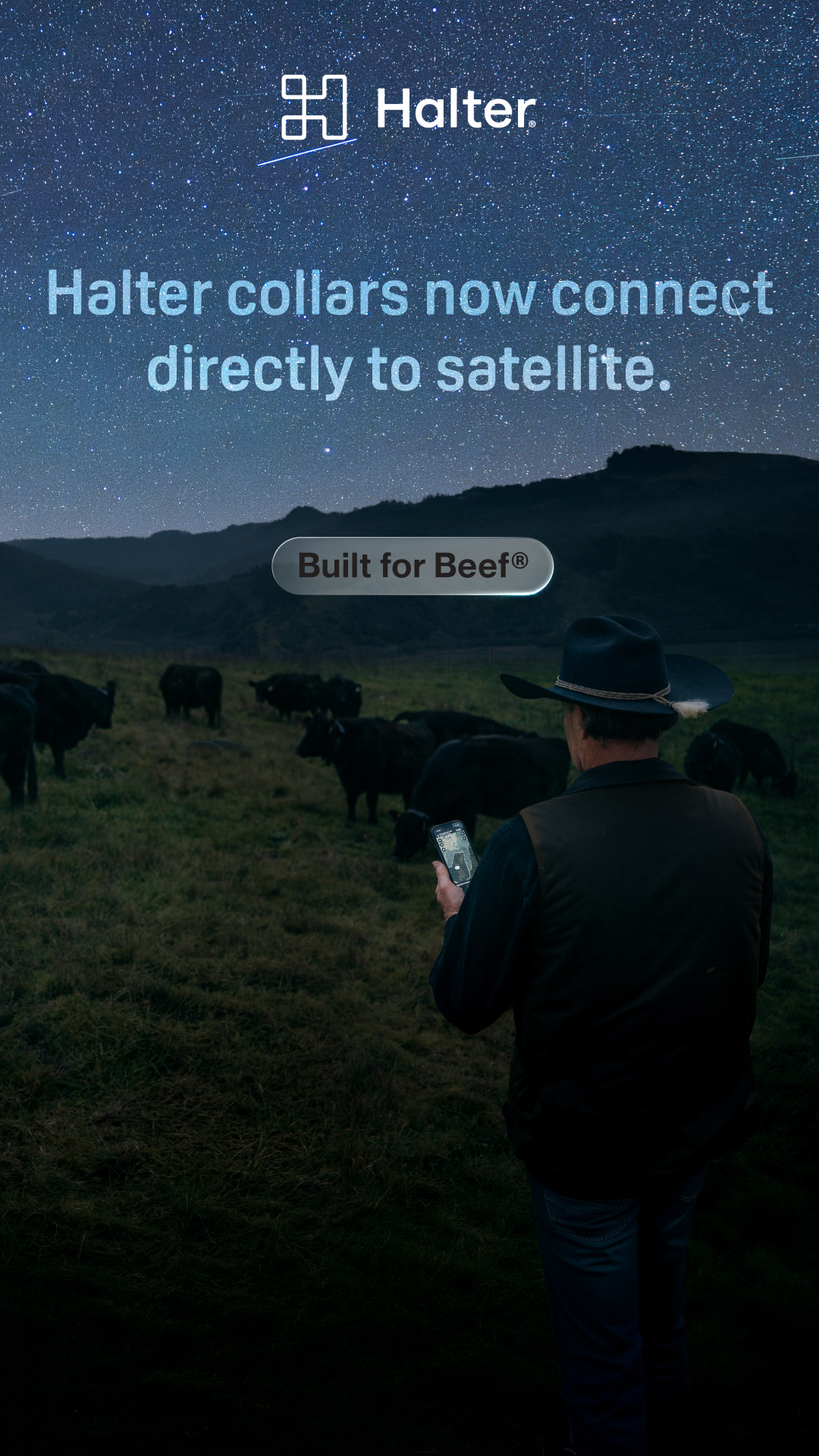 Halter Facebook ad from Apr 29, 2026