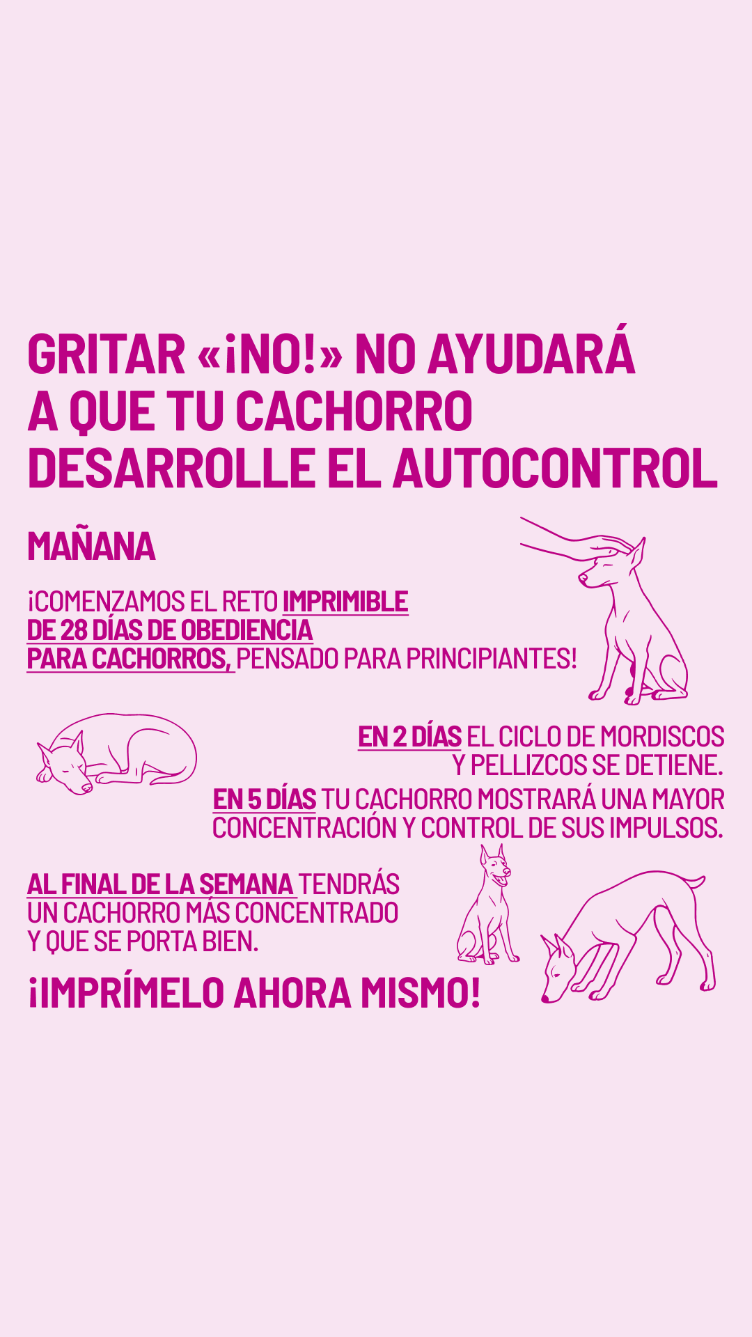 Woofz Facebook ad