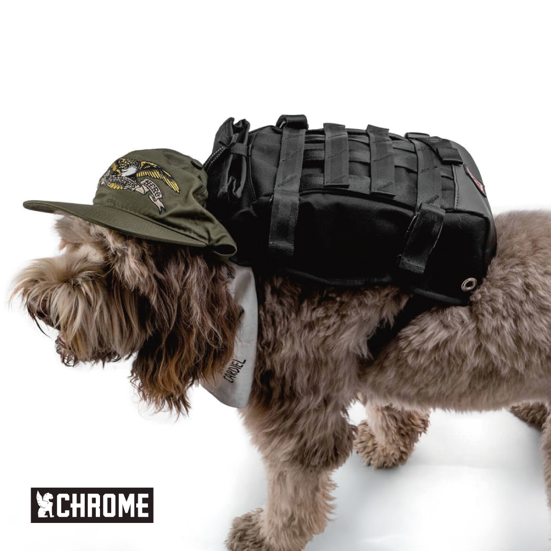Chrome Industries Japan Facebook ad: 【DOG BAG】