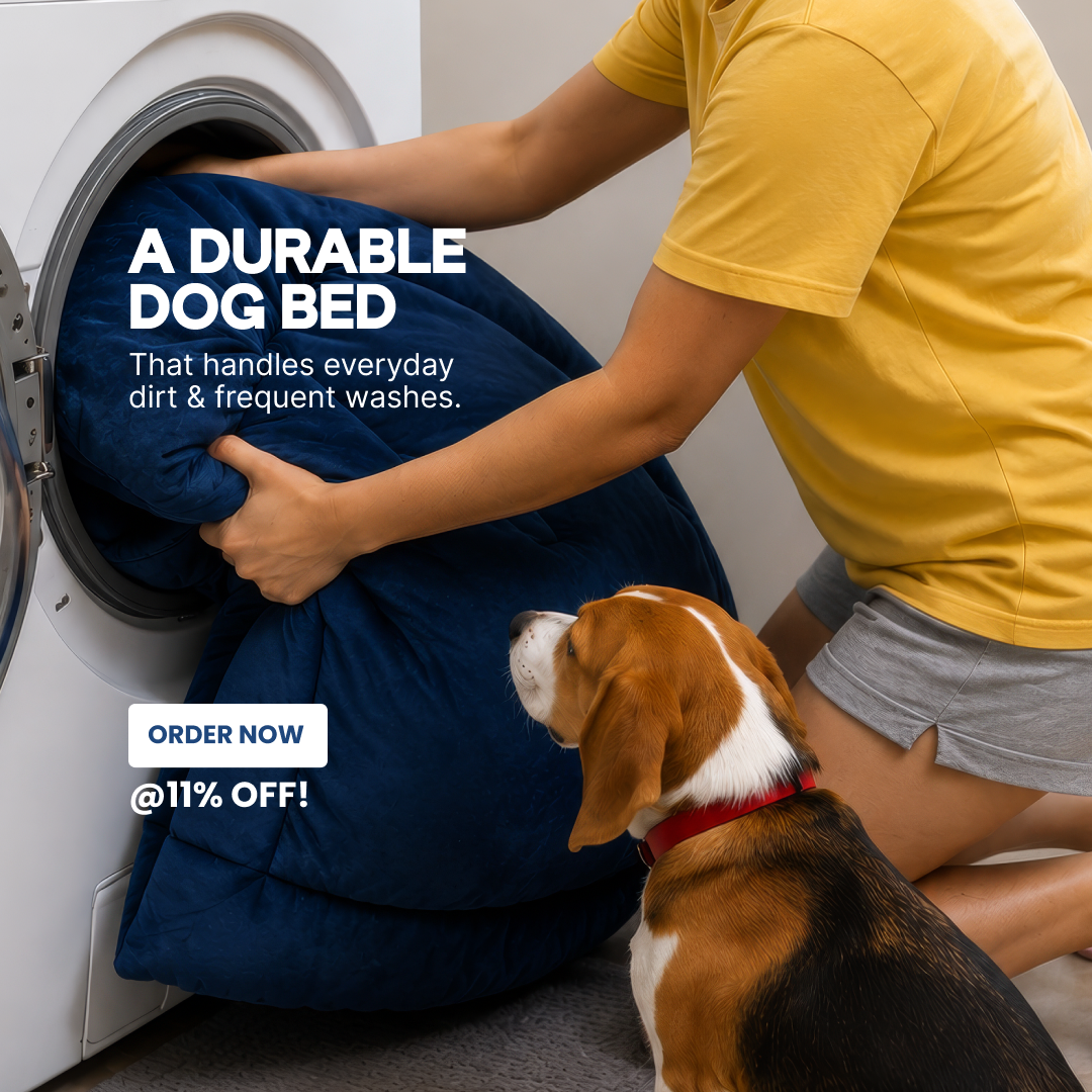 Barks & Wags Facebook ad